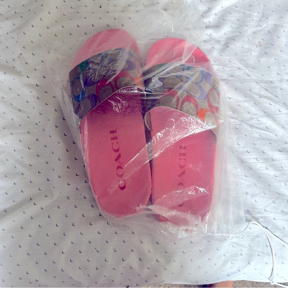 Coach slides - Picture 3 of 5